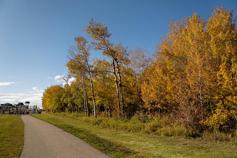 Desrochers Villages Community